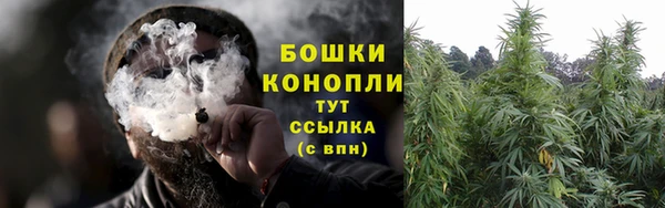 гашик Заводоуковск