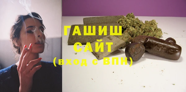 спиды Ельня