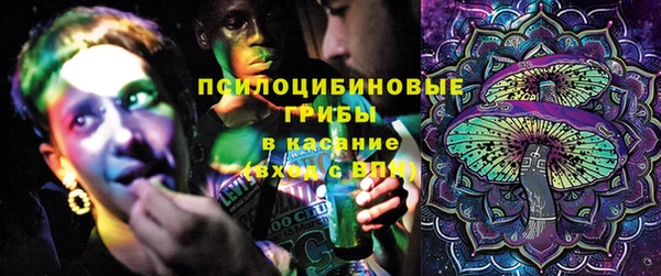 гашик Заводоуковск