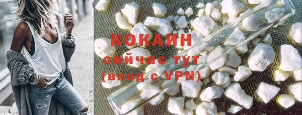 гашик Заводоуковск