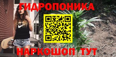 гидропоника Ливны
