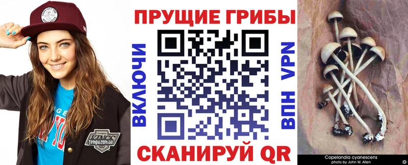 Галлюциногенные грибы мицелий Соль-Илецк