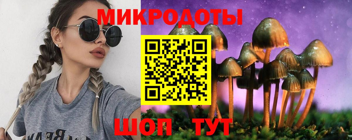 Галлюциногенные грибы Psilocybine cubensis Соль-Илецк