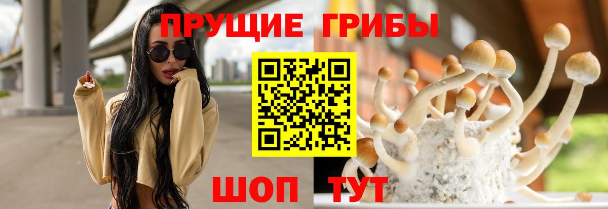 Соль-Илецк  Псилоцибиновые грибы прущие грибы  Вход с VPN  Галлюциногенные грибы GOLDEN TEACHER 